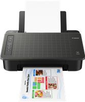 PIXMA TS305