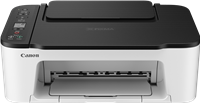PIXMA TS3452