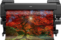 iPF PRO-6000S