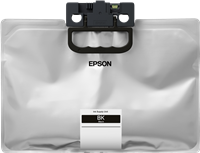 Epson C13T01D100+