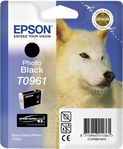 Epson T0961 Black (photo) ink cartridge