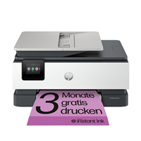 HP OfficeJet Pro 8132e Multifunction Printer 