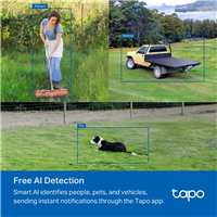 TP-Link TAPO C501GW