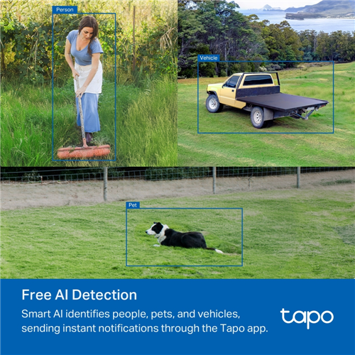 TP-Link TAPO C501GW